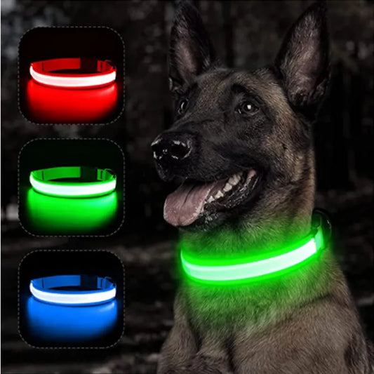 Collar con luz LED brillante para perro